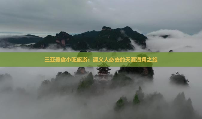 遵义去三亚天涯海角旅游小吃