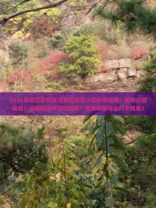 吴忠前往三亚呀诺达景区旅游小吃