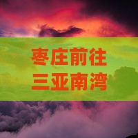 枣庄前往三亚南湾猴岛四日游