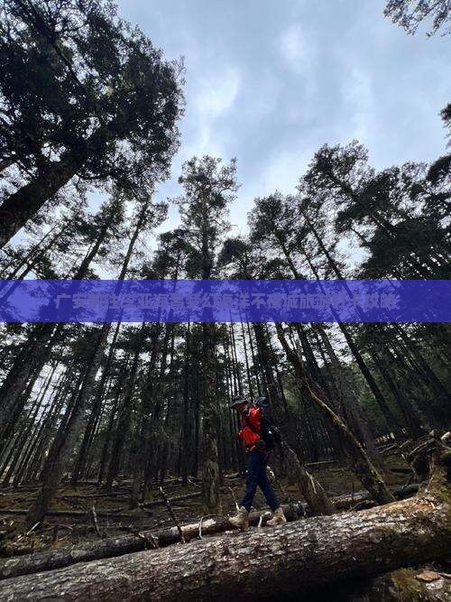 广安前往三亚海昌梦幻海洋不夜城旅游打卡点