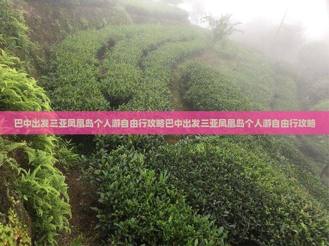 巴中出发三亚凤凰岛个人游