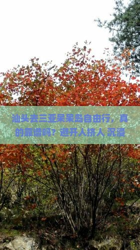 汕头去三亚呆呆岛自由行