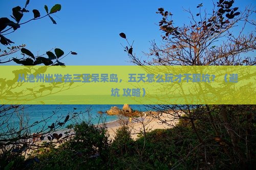 池州前往三亚呆呆岛五日游
