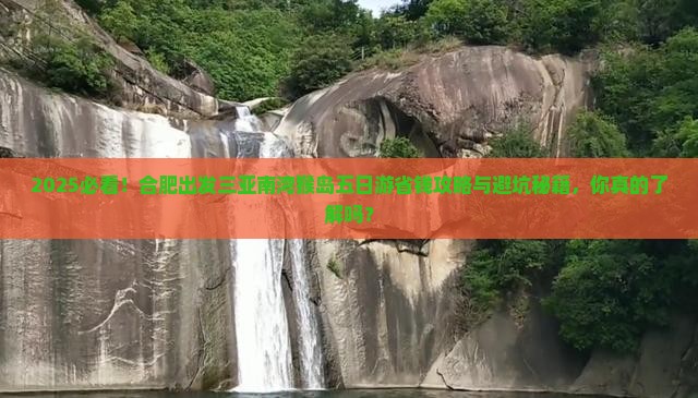 合肥出发三亚南湾猴岛五日游