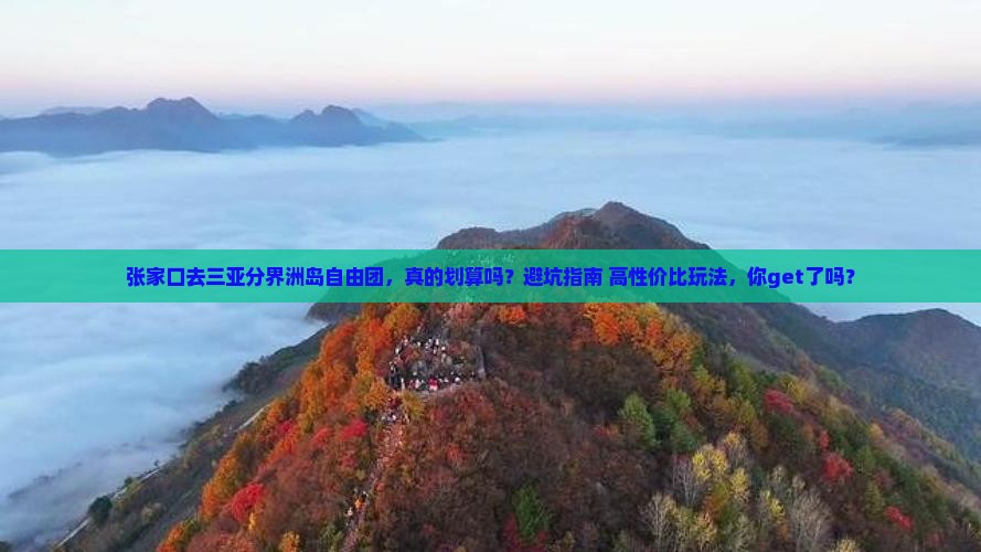 张家口去三亚分界洲岛自由团