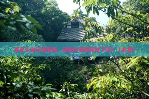 枣庄去三亚后海旅游小吃