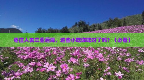 枣庄去三亚后海旅游小吃