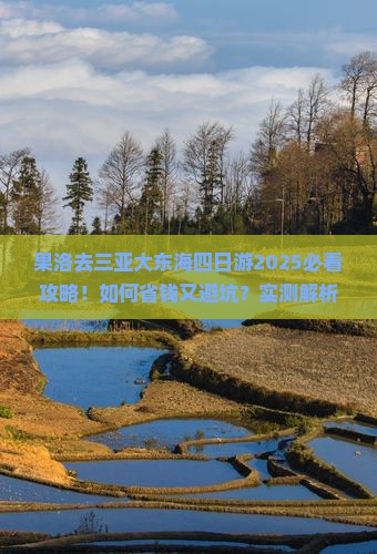 果洛去三亚大东海四日游