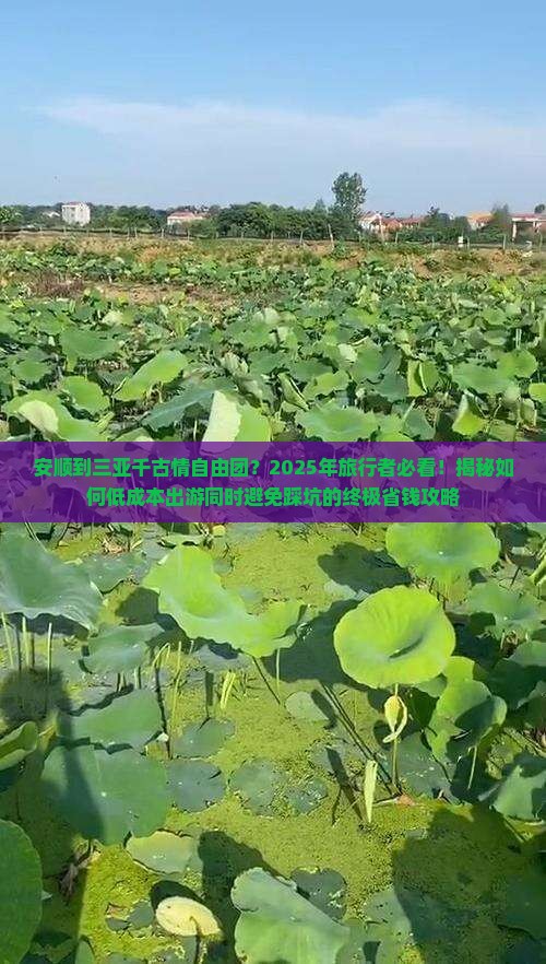 安顺出发三亚千古情自由团
