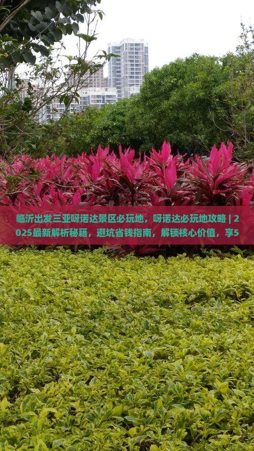 临沂出发三亚呀诺达景区必玩地