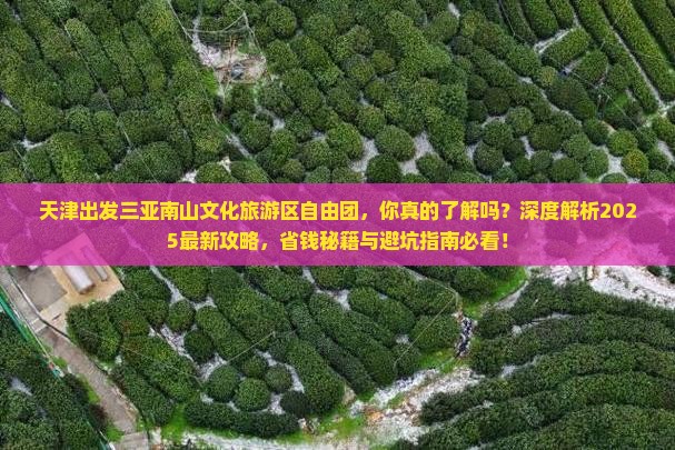 天津出发三亚南山文化旅游区自由团