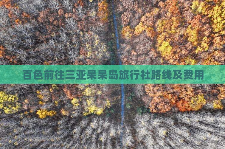 百色前往三亚呆呆岛旅行社