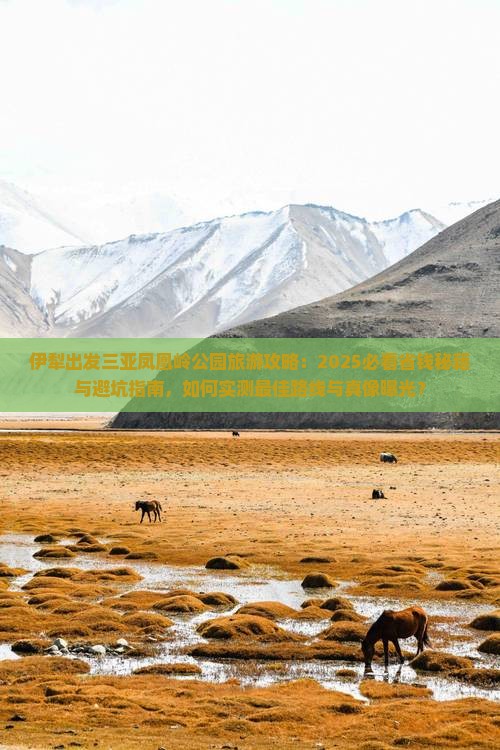 伊犁出发三亚凤凰岭公园旅游