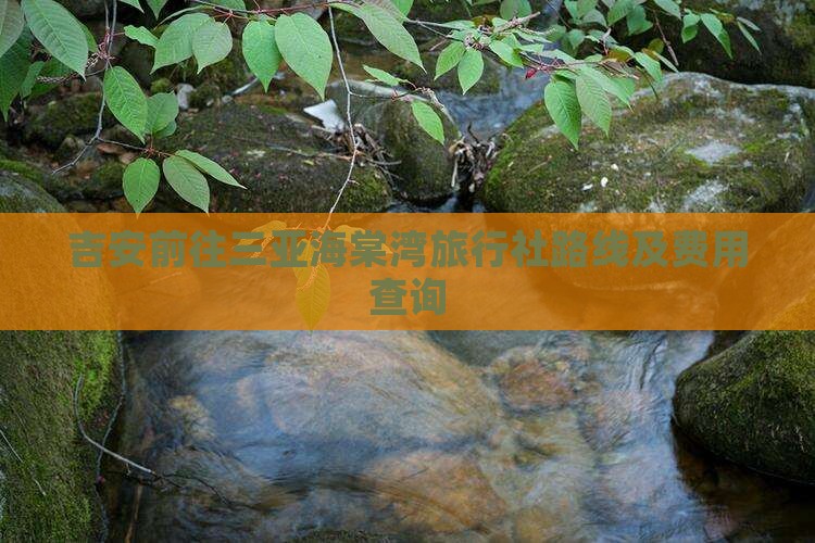 吉安前往三亚海棠湾旅行社