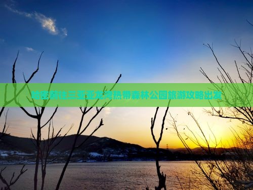 哈密前往三亚亚龙湾热带森林公园大型旅游团