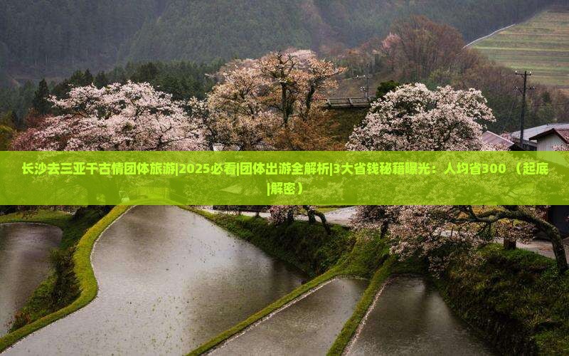长沙去三亚千古情团体旅游