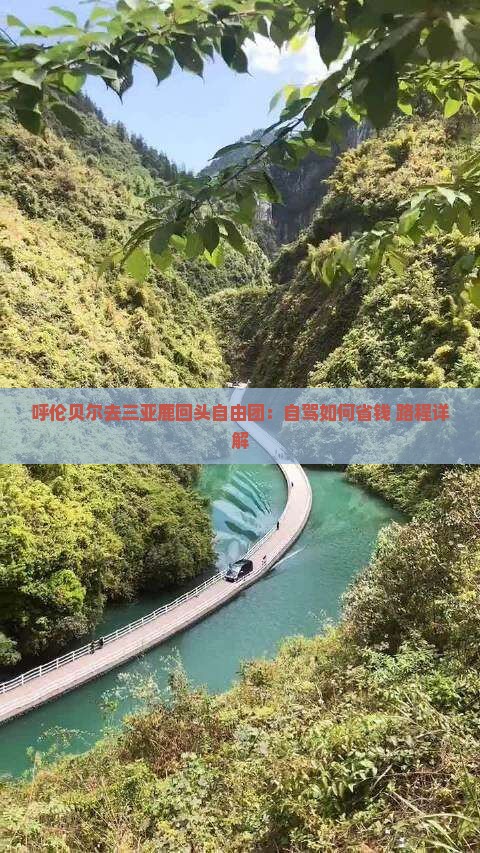 呼伦贝尔去三亚鹿回头自由团