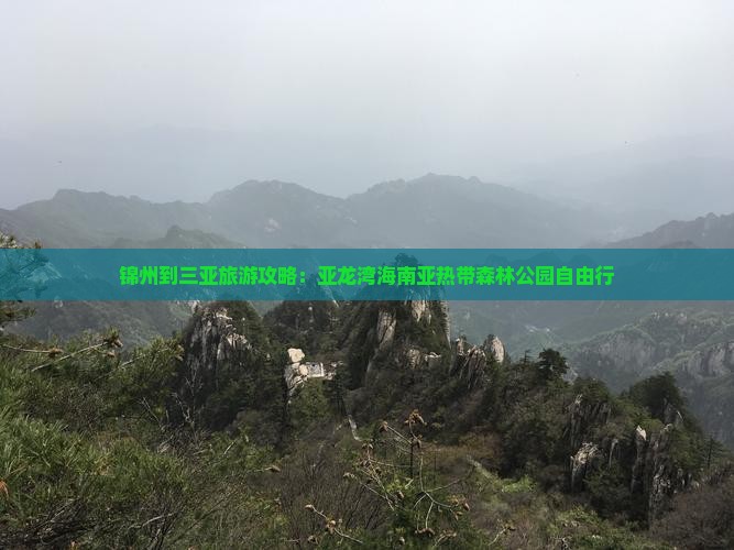锦州前往三亚亚龙湾热带森林公园个人游