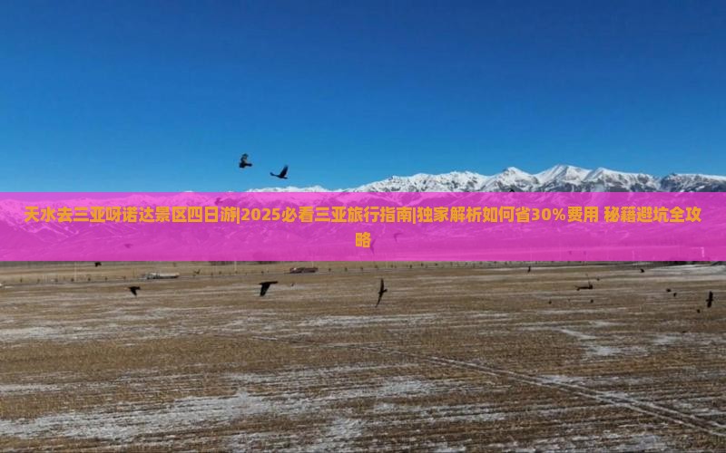 天水去三亚呀诺达景区四日游