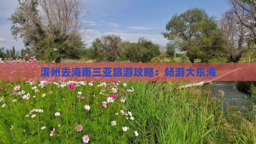 滨州去三亚大东海团体旅游