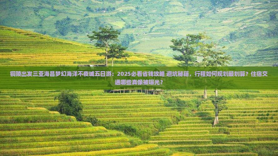 铜陵前往三亚海昌梦幻海洋不夜城五日游