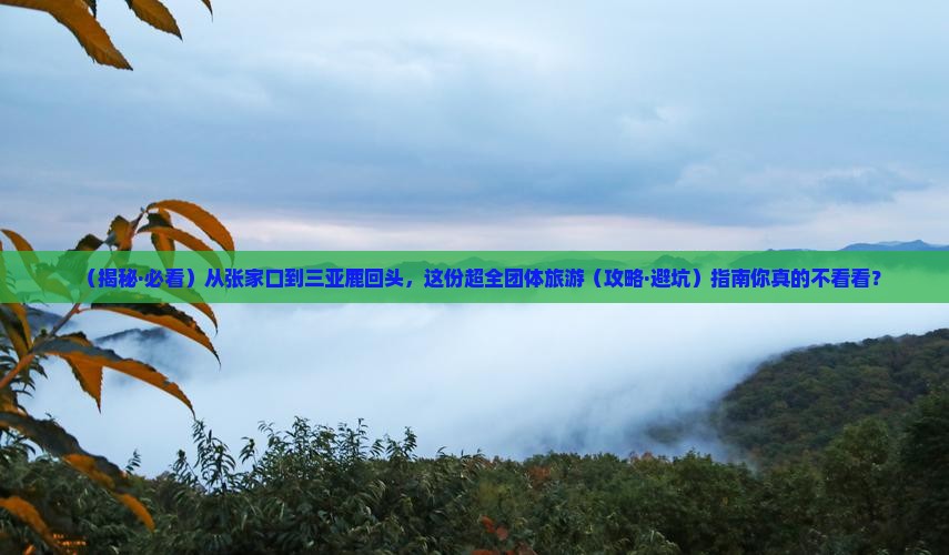 张家口前往三亚鹿回头团体旅游