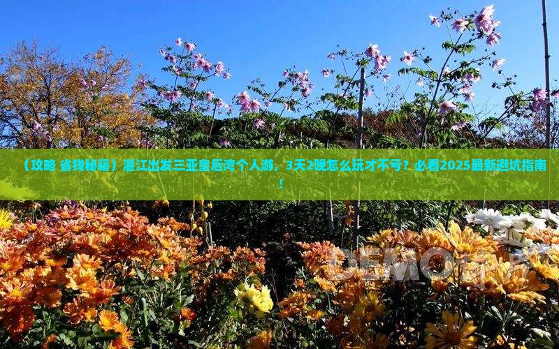 湛江出发三亚皇后湾个人游