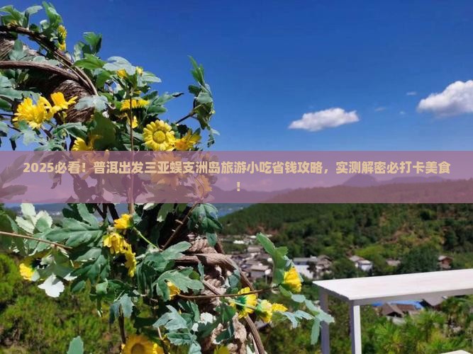 普洱出发三亚蜈支洲岛旅游小吃