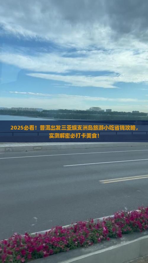 普洱出发三亚蜈支洲岛旅游小吃