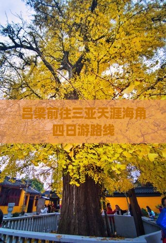 吕梁前往三亚天涯海角四日游