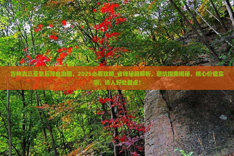 吉林去三亚皇后湾自由团