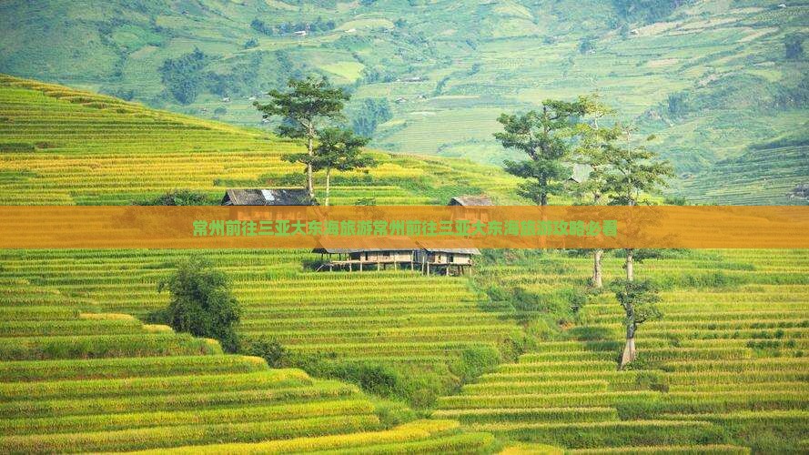 常州前往三亚大东海旅游