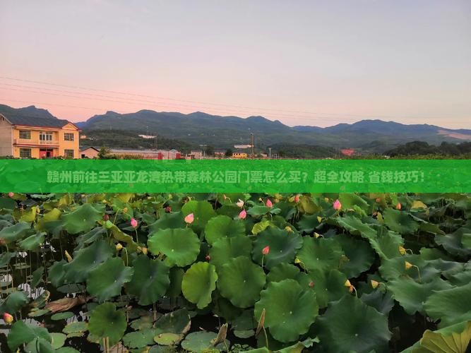 赣州前往三亚亚龙湾热带森林公园门票