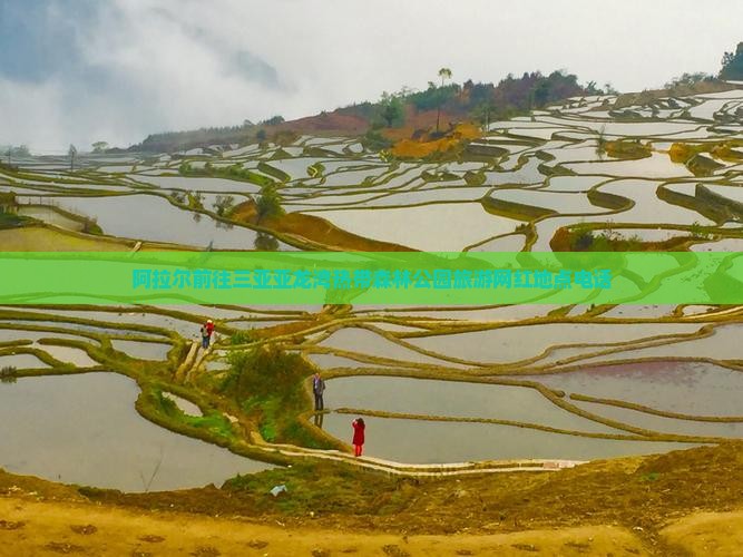 阿拉尔前往三亚亚龙湾热带森林公园旅游网红地点
