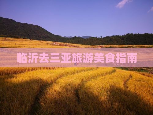 临沂去三亚后海旅游小吃