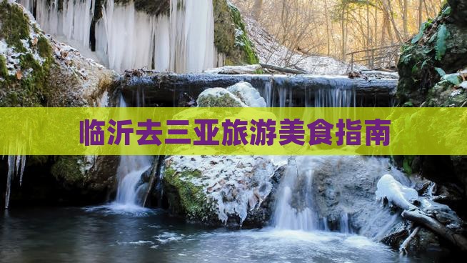 临沂去三亚后海旅游小吃