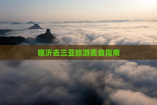 临沂去三亚后海旅游小吃
