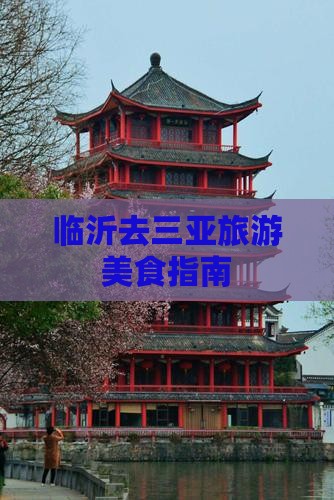 临沂去三亚后海旅游小吃