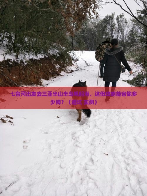 七台河前往三亚半山半岛帆船港旅行社