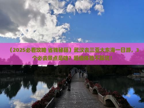 武汉去三亚大东海一日游