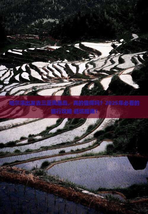 哈尔滨前往三亚凤凰岛旅行社