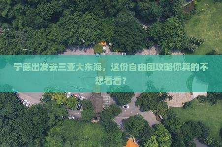 宁德去三亚大东海自由团