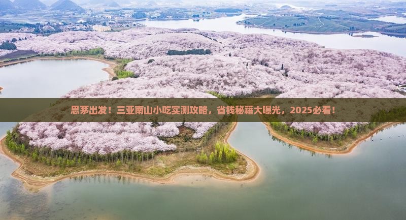思茅去三亚南山文化旅游区旅游小吃
