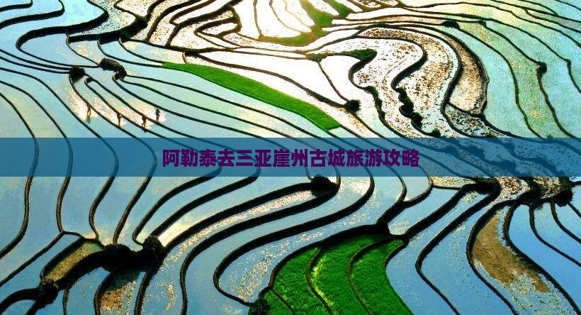 阿勒泰去三亚崖洲古城旅游打卡点