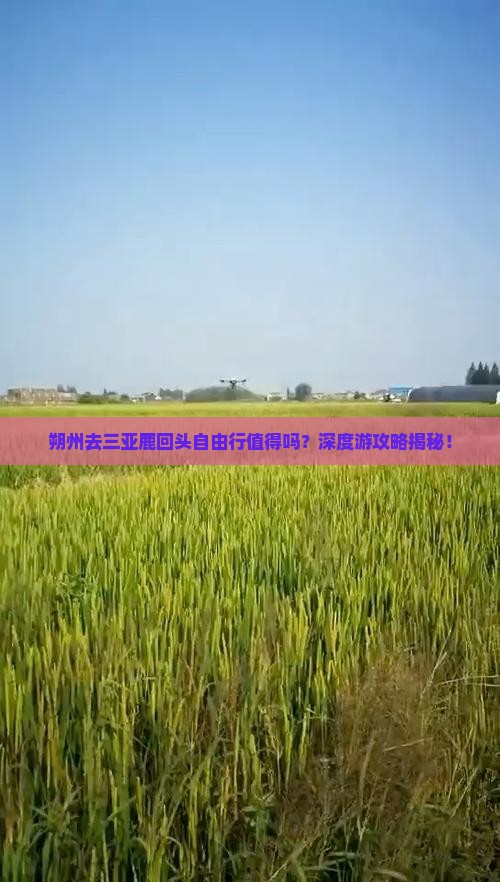 朔州去三亚鹿回头自由行