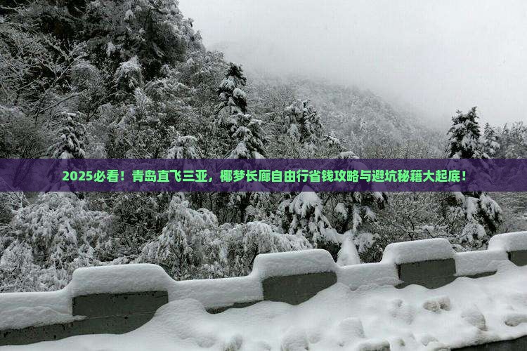 青岛去三亚椰梦长廊自由行