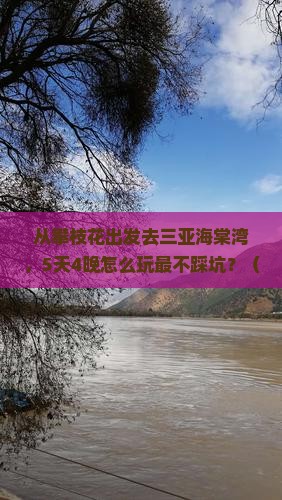 攀枝花出发三亚海棠湾自由团