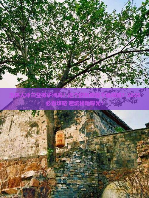 玉林去三亚椰子洲岛大型旅游团