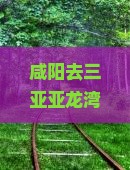 咸阳去三亚亚龙湾国际玫瑰谷个人游