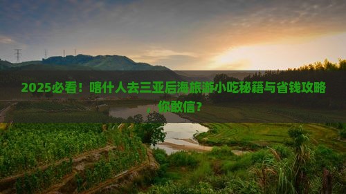 喀什去三亚后海旅游小吃